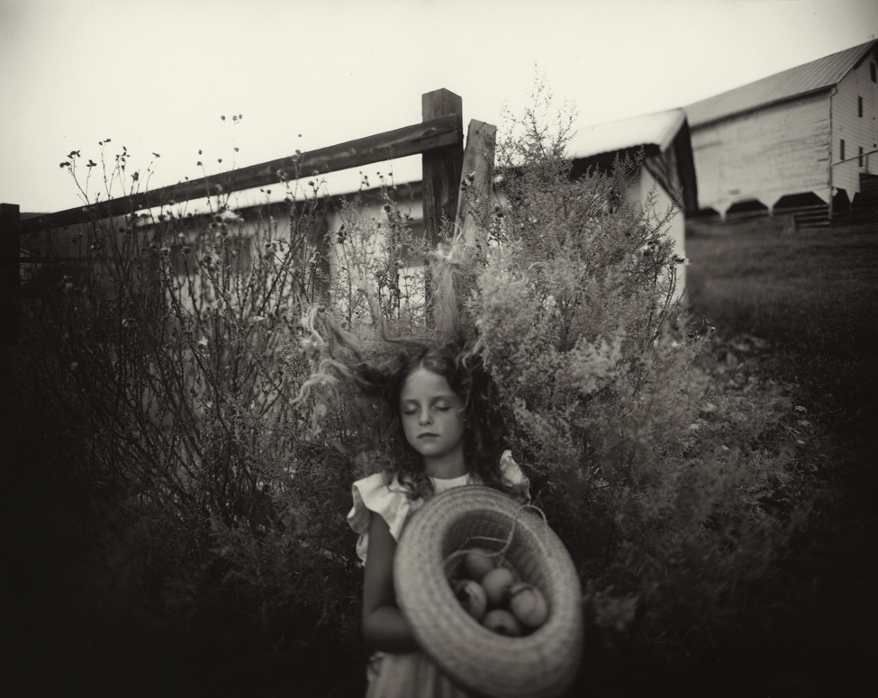 Sally Mann (American, b. 1951), Yard Eggs (detail), 1991