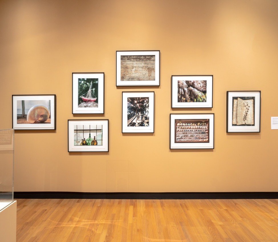 Installation view of Random Sampling: Photographs by Rosamond W. Purcell, Fall 2021