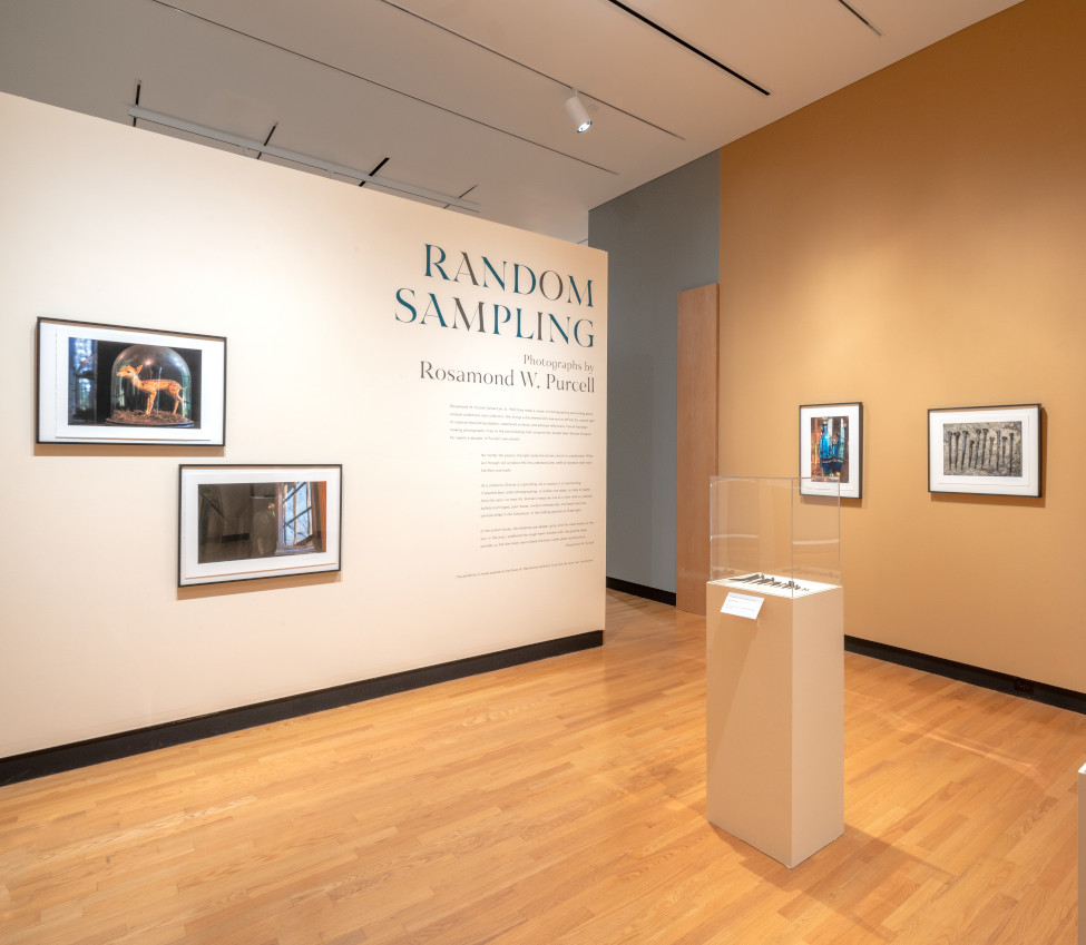 Installation view of Random Sampling: Photographs by Rosamond W. Purcell, Fall 2021