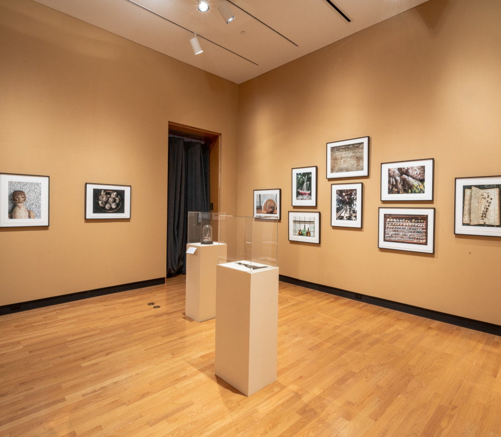 Installation view of Random Sampling: Photographs by Rosamond W. Purcell, Fall 2021