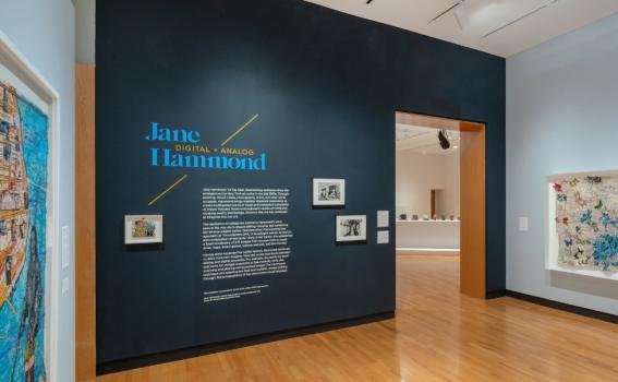 Installation view of Jane Hammond: Digital and Analog, Winter 2022