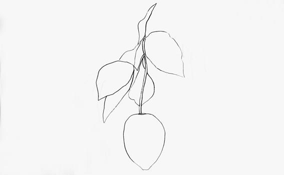 Ellsworth Kelly (American, b. 1923), Citron (Lemon) (detail), 1965-66