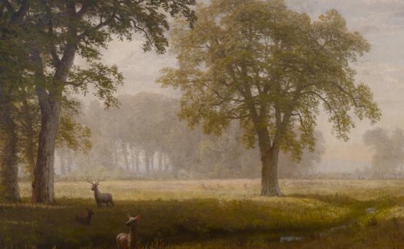 Albert Bierstadt (American, born in Germany, 1830-1902), Tuolomne Meadows