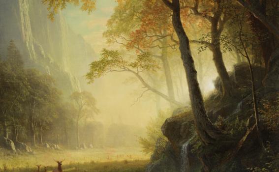 Albert Bierstadt (American, born Germany, 1830-1902), Hetch Hetchy Canyon (detail), 1875 Albert Bierstadt (American, born Germany, 1830-1902), Hetch Hetchy Canyon (detail), 1875