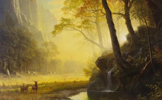 Albert Bierstadt (American, 1830-1902), Hetch Hetchy Canyon (detail), 1875, oil on canvas Albert Bierstadt (American, 1830-1902), Hetch Hetchy Canyon (detail), 1875, oil on canvas