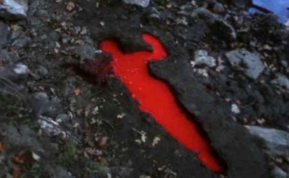 Ana Mendieta (Cuban, 1948-1985), Silueta Sangrienta, 1975 (flim still)