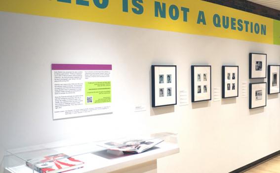 Hello is Not a Question installation view Hello is Not a Question installation view