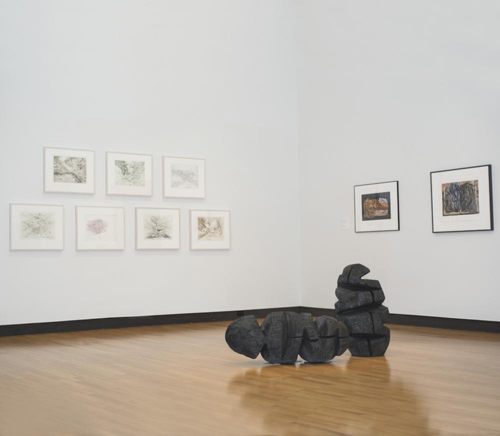 Energies and Elegies Installation View Energies and Elegies Installation View