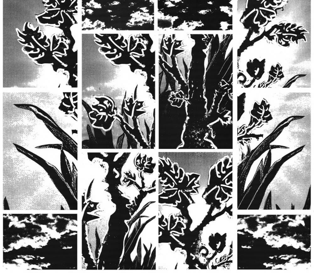 Lorna Bieber, Eden (detail), Archival toner on archival paper, 2012–13 Lorna Bieber, Eden (detail), Archival toner on archival paper, 2012–13