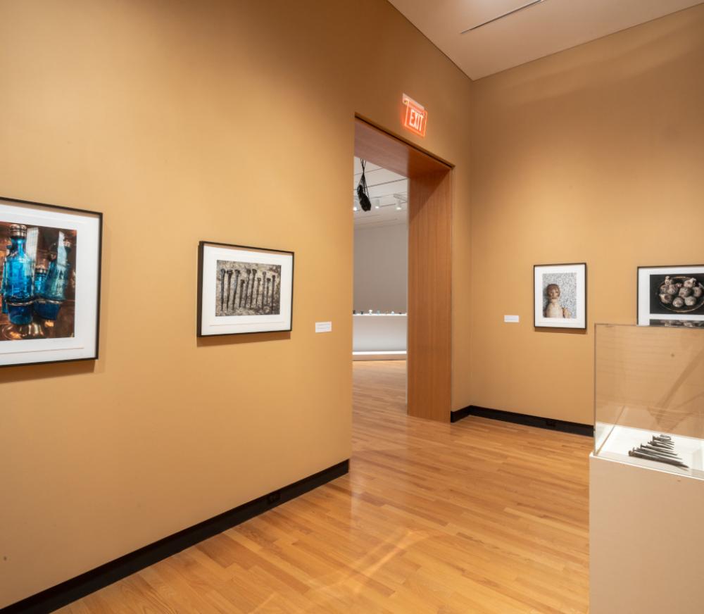 Installation view of Random Sampling: Photographs by Rosamond W. Purcell, Fall 2021 Installation view of Random Sampling: Photographs by Rosamond W. Purcell, Fall 2021