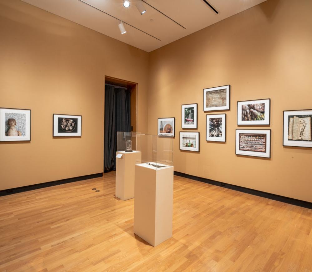 Installation view of Random Sampling: Photographs by Rosamond W. Purcell, Fall 2021 Installation view of Random Sampling: Photographs by Rosamond W. Purcell, Fall 2021