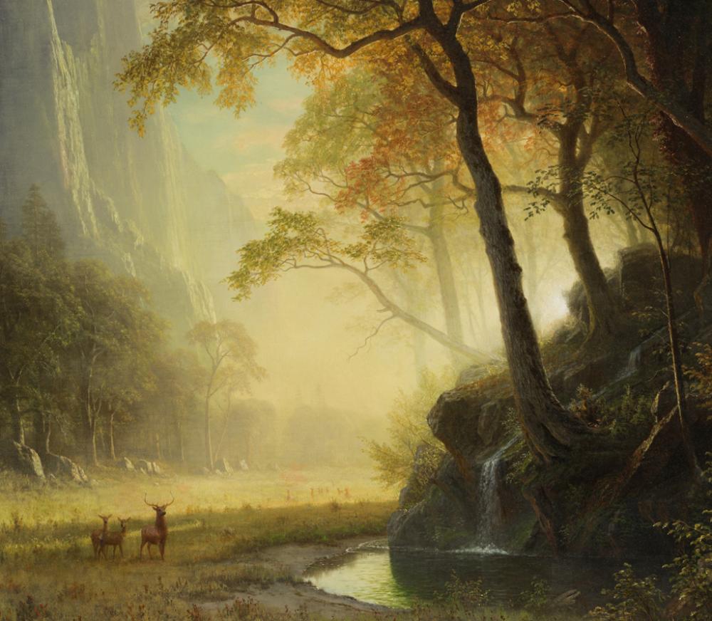 Albert Bierstadt (American, 1830-1902), Hetch Hetchy Canyon, 1875, oil on canvas Albert Bierstadt (American, 1830-1902), Hetch Hetchy Canyon, 1875, oil on canvas