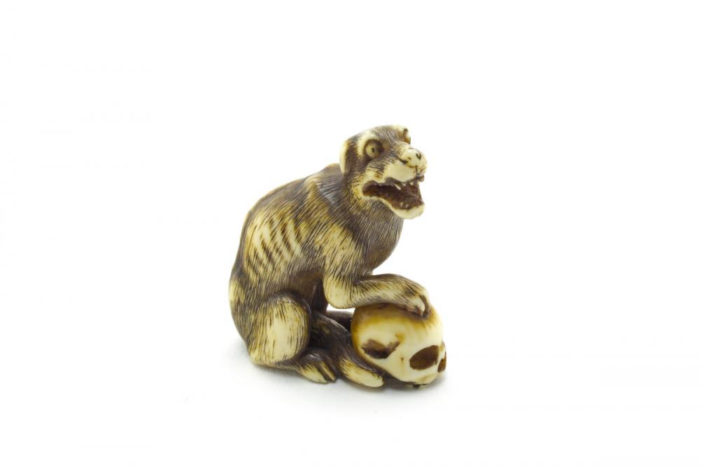 Tomochika, Dog and skull Tomochika, Dog and skull