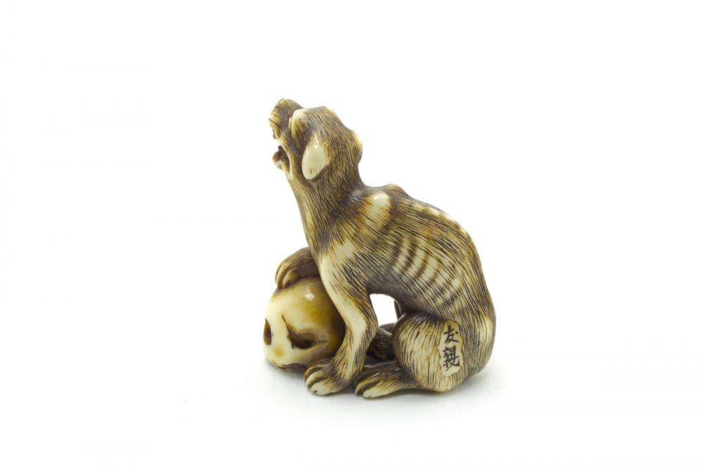 Tomochika, Dog and skull Tomochika, Dog and skull