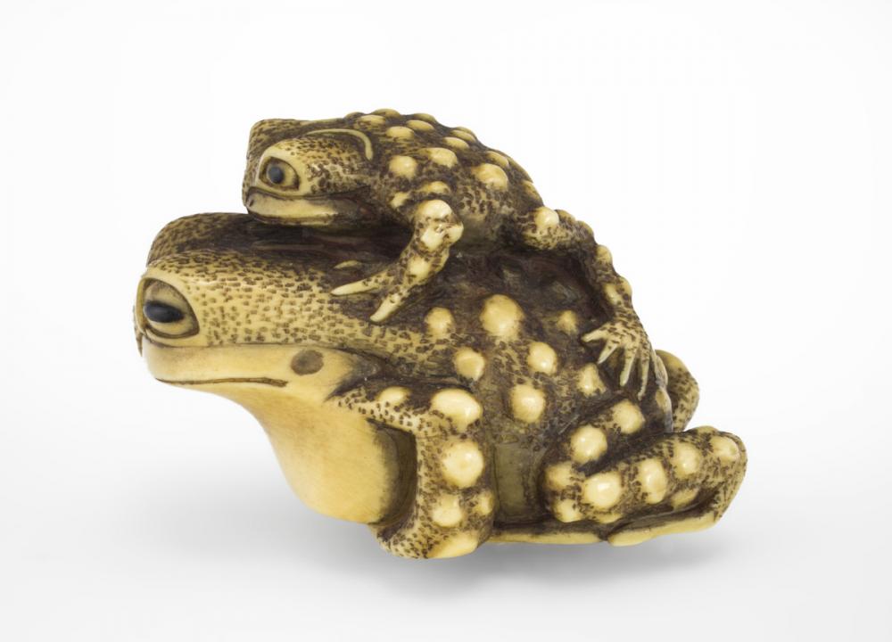 Masanao School, Mother and baby toad Masanao School, Mother and baby toad