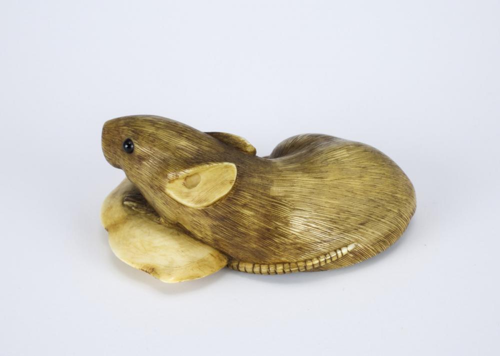 Masamin, Rat and pea pod Masamin, Rat and pea pod
