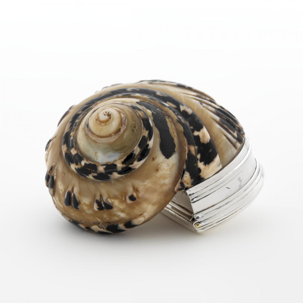 Phipps, Thomas; Robinson, Edward; Snail shell snuffbox Phipps, Thomas; Robinson, Edward; Snail shell snuffbox