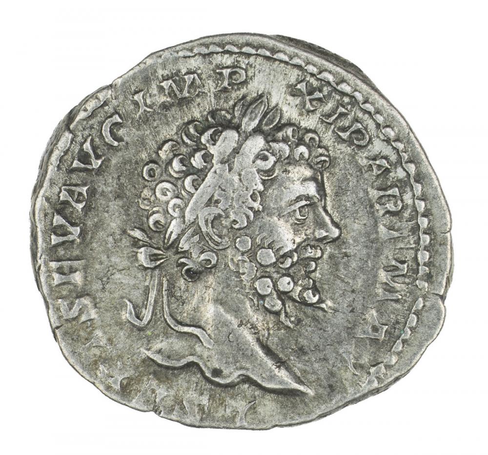 Roman, Denarius of Septimius Severus, recto