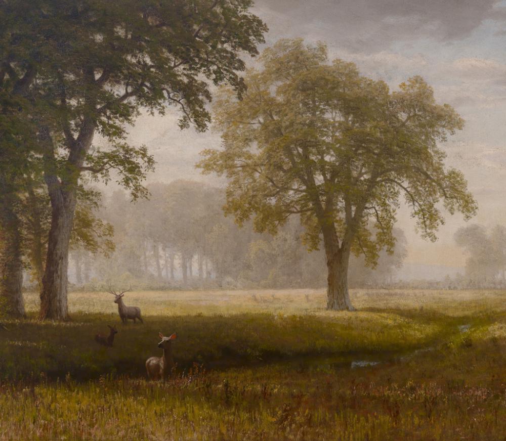 Albert Bierstadt (American, born in Germany, 1830-1902), Tuolomne Meadows, Loan from a private collection Albert Bierstadt (American, born in Germany, 1830-1902), Tuolomne Meadows