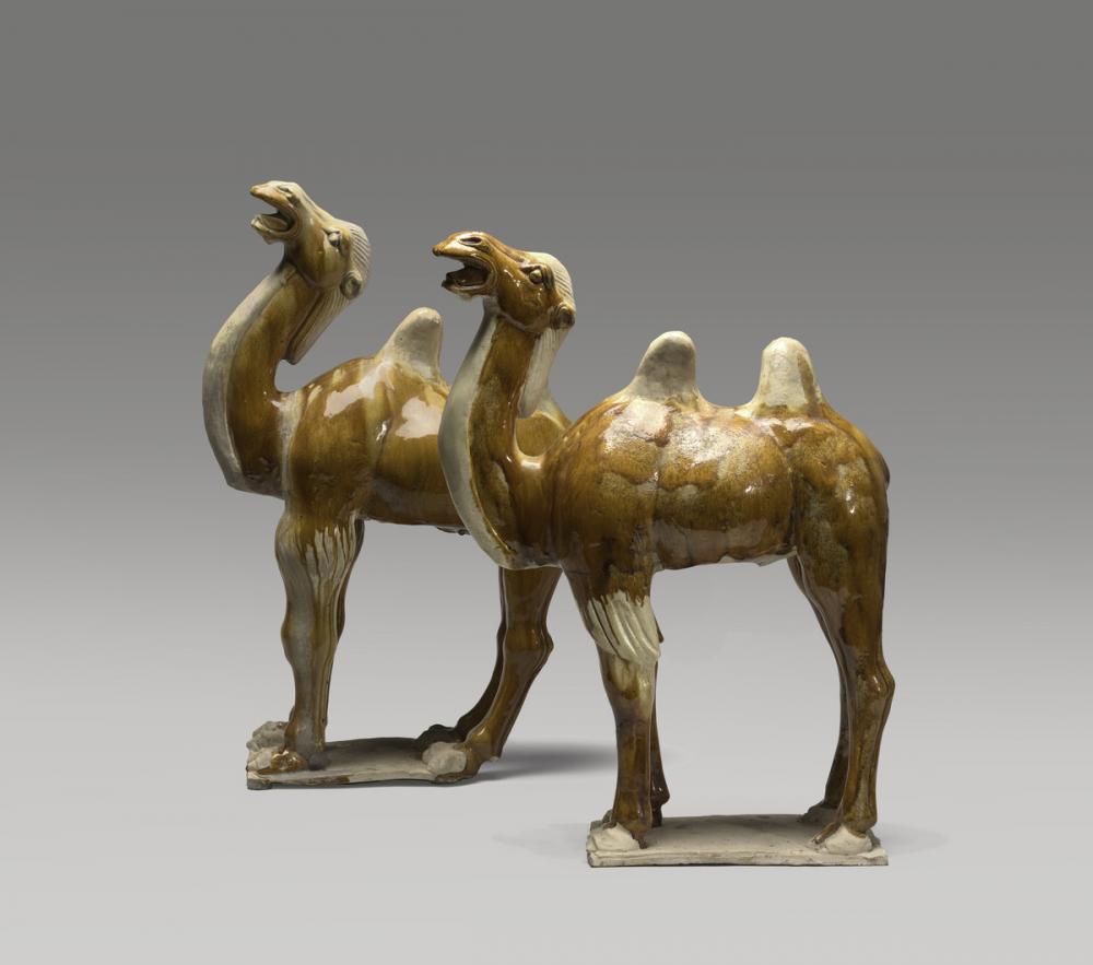 Camel tomb figurine (yong) Camel tomb figurine (yong)