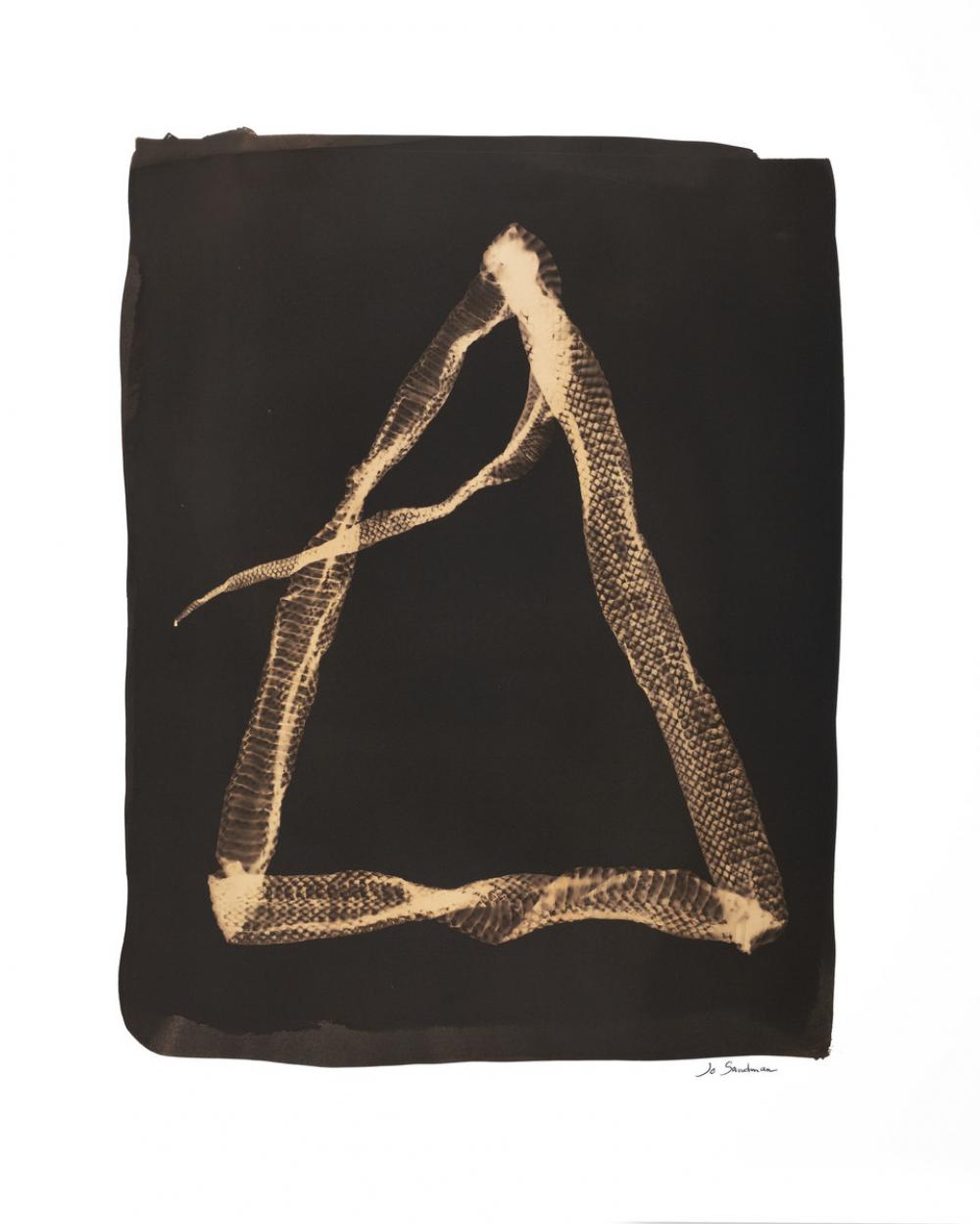 Jo Sandman (American, b. 1931), Untitled, from the Snake series, 2005 Jo Sandman (American, b. 1931), Untitled, from the Snake series, 2005