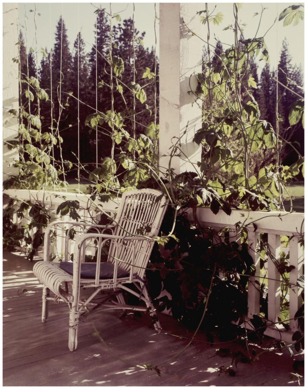 Joel Meyerowitz (American, b. 1946), Yosemite, Hotel, Chair, Vines, 1983 Joel Meyerowitz (American, b. 1946), Yosemite, Hotel, Chair, Vines, 1983