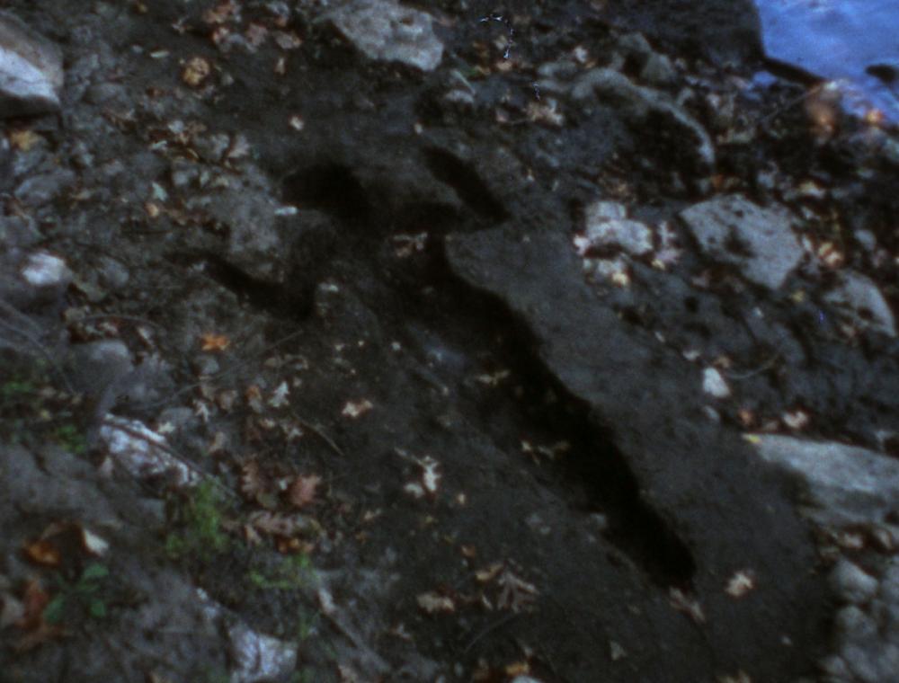 Ana Mendieta (Cuban, 1948-1985), Silueta Sangrienta, 1975 (film still) Ana Mendieta (Cuban, 1948-1985), Silueta Sangrienta, 1975 (film still)