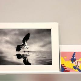 “Luminance” is a classic #teachingwithart visual exercise. Students are asked to recreate black and white photographs using colored paper. The key is to first construct an accurate gray scale from 5 distinct hues before crafting a matching composition.
.
.
Scroll through to see the results of Professor Charles Flachs’ First-Year Seminar students! #mhcalums : comment below if you remember completing the “luminance” exercise!