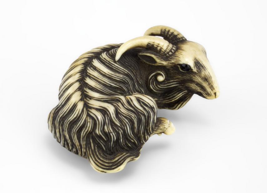 Japanese, Goat