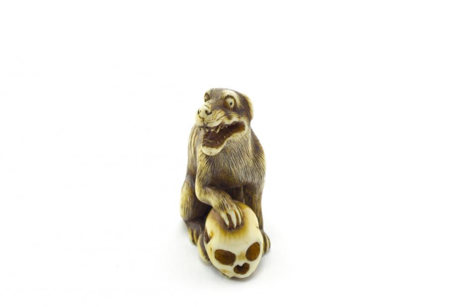 Tomochika, Dog and skull