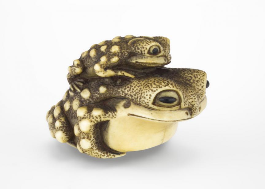 Masanao School, Mother and baby toad