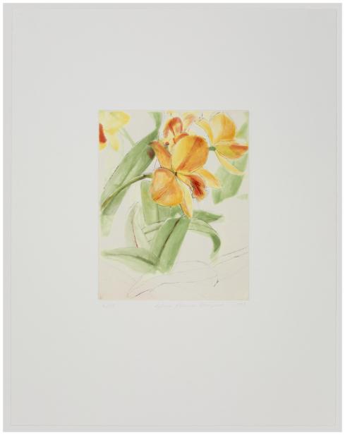 Mangold, Sylvia Plimack, Hazel Boyd Eureka