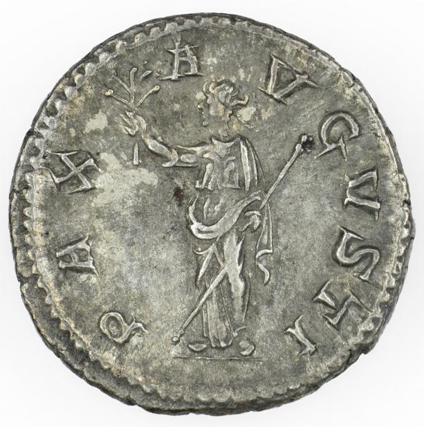 Roman, Denarius of Maximinus I