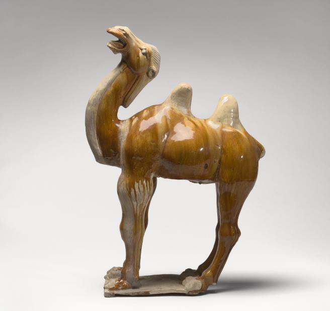 Camel tomb figurine (yong)