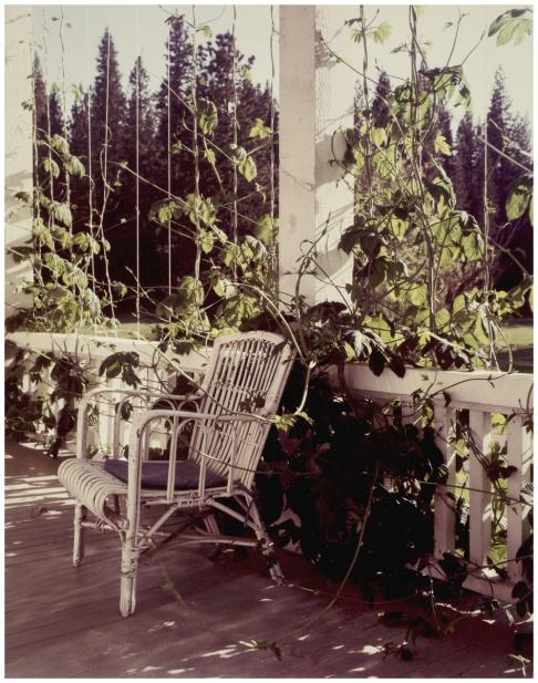 Joel Meyerowitz (American, b. 1946), Yosemite, Hotel, Chair, Vines, 1983