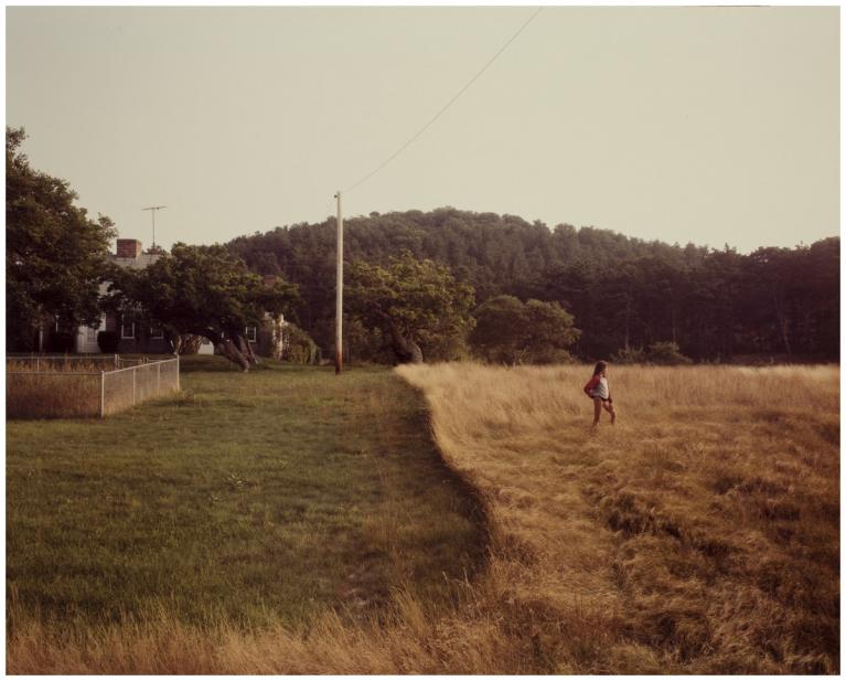 Joel Meyerowitz (American, b. 1946), Ariel in grasses, Truro, 1983