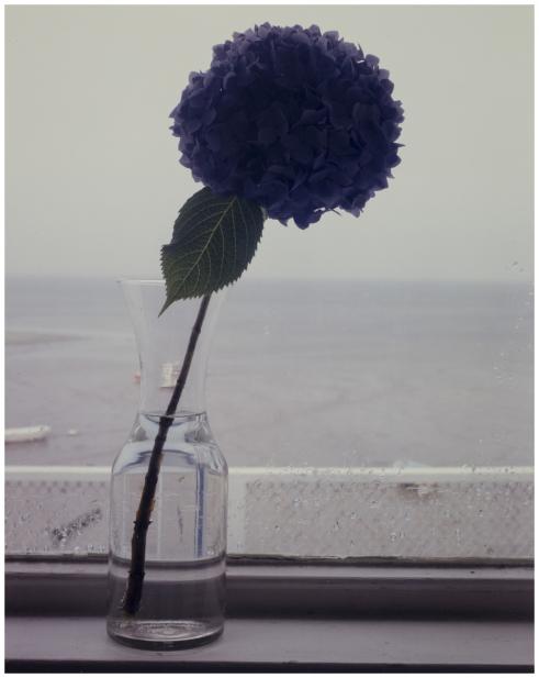 Joel Meyerowitz (American, b. 1946), Still life, Window, 1985