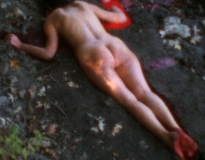 Ana Mendieta (Cuban, 1948-1985), Silueta Sangrienta, 1975 (film still)