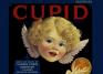 Maker Unknown (American), Crate label; Cupid, ca. 1925-45