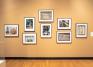 Installation view of Random Sampling: Photographs by Rosamond W. Purcell, Fall 2021