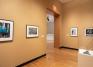 Installation view of Random Sampling: Photographs by Rosamond W. Purcell, Fall 2021