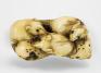 Masamitsu, Cluster of rats on a leaf