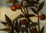 Boott, Elizabeth, Flowering Arbutus Tree (Castel Fusano)