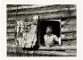 Rothstein, Arthur, Girl at Gee's Bend, Gee's Bend, Alabama