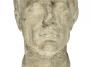 Maker Unknown (Roman), Head of a Man, 1st century BCE
