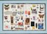 Jane Hammond (American, b. 1950), Scrapbook, 2003