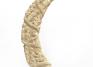 Unknown (possibly Vili; Loango Coast), Carved hippopotamus tooth, 19th century