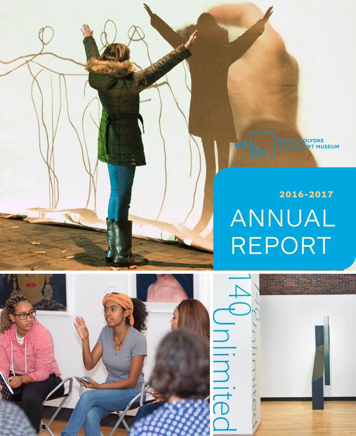 2016-2017 Annual Report