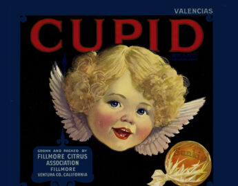 Maker Unknown (American), Crate label; Cupid, ca. 1925-45