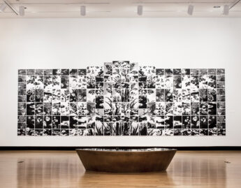 Installation view of Lorna Bieber, Eden